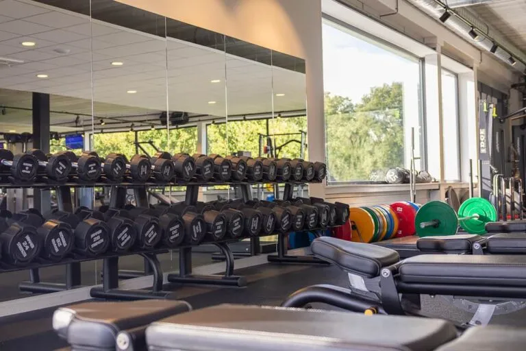 Pro Fit Gym Sportschool Raalte Dumbbells Met Bankjes