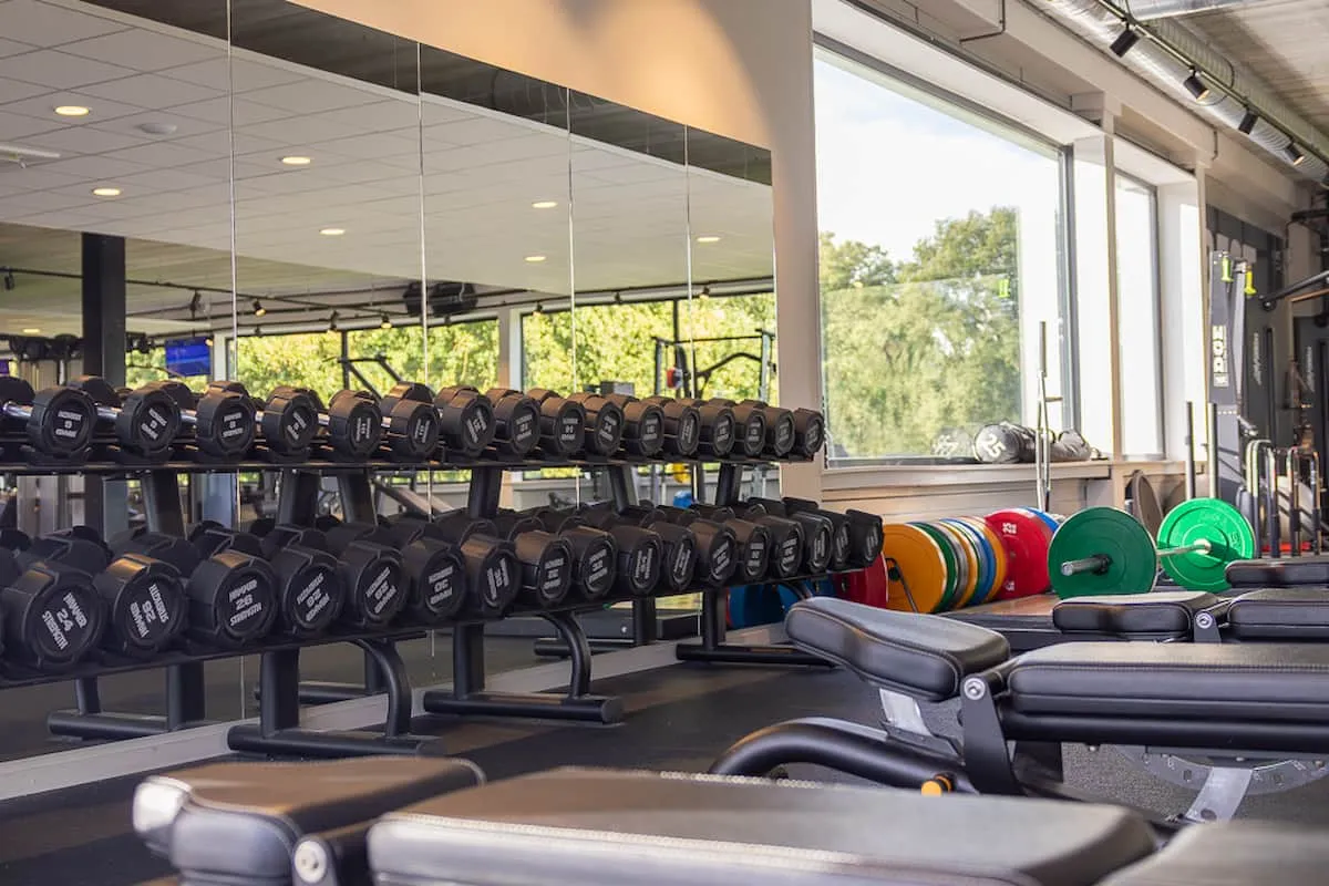 Pro Fit Gym Sportschool Raalte Dumbbells Met Bankjes