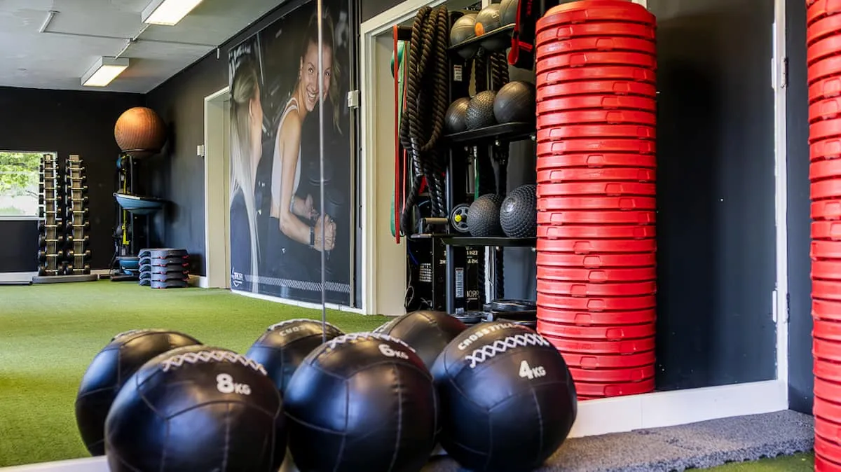 Pro Fit Gym Sportschool Zwolle Dieze Gewichtsballen