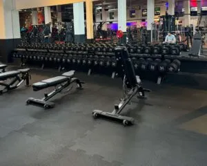 Pro Fit Gym Sportschool Wageningen Dumbbells