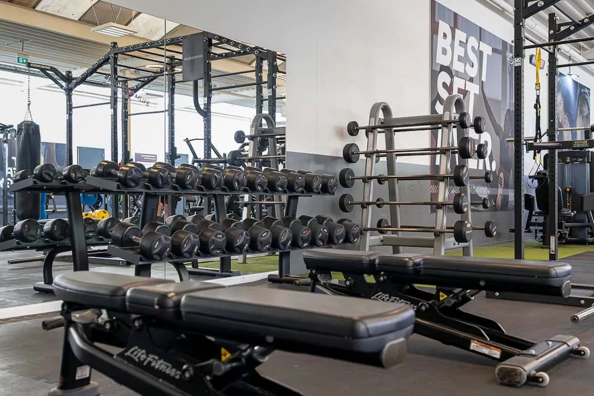 Pro Fit Gym Dalfsen Dumbbell Benches