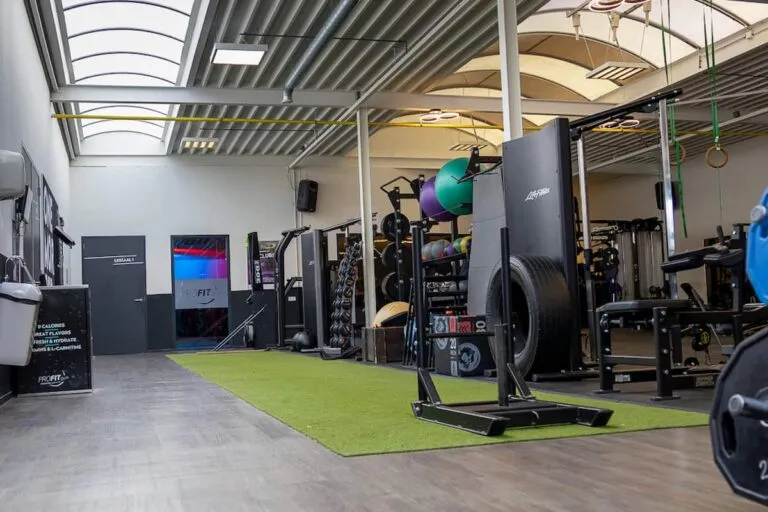 Pro Fit Gym Dalfsen Push Sled