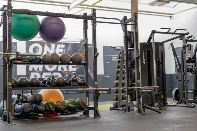 Pro Fit Gym Dalfsen Weighted Balls