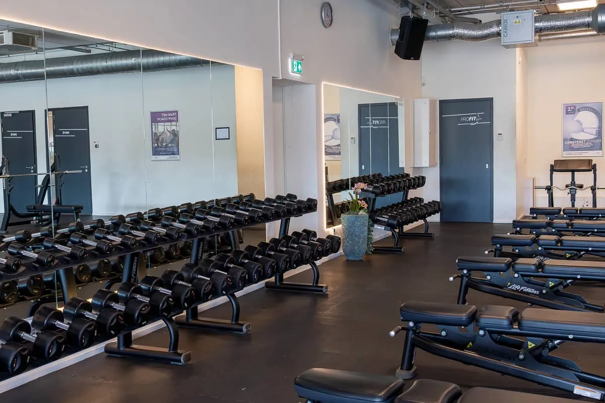 Pro Fit Gym Emmen Dumbbells And Benches