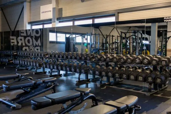 Pro Fit Gym Hardenberg Marslanden Dumbbells And Benches