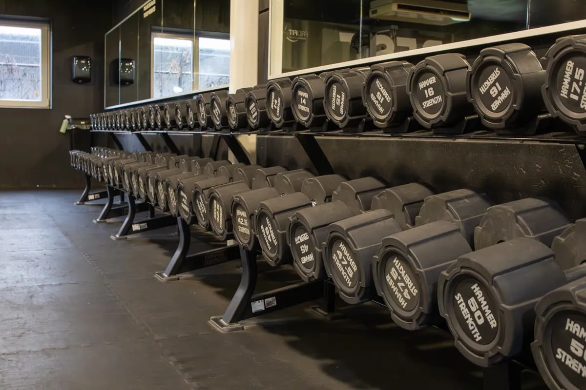 Pro Fit Gym Nieuw Vennep Dumbbell Rack