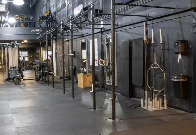 Pro Fit Gym Nieuw Vennep Squat Stands