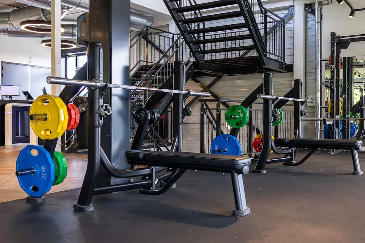 Pro Fit Gym Sportschool Raalte Benches