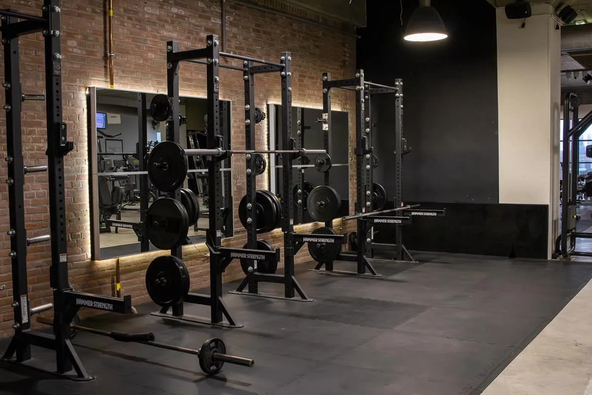 Pro Fit Gym Vlaardingen Squat Stands