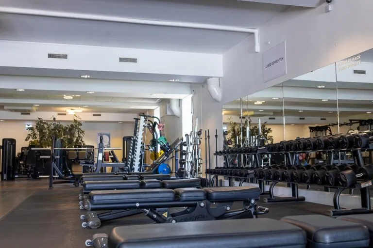 Pro Fit Gym Zwolle Dieze Dumbbell With Benches