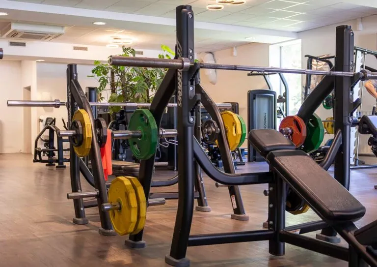 Pro Fit Gym Zwolle Dieze Incline Benchpress