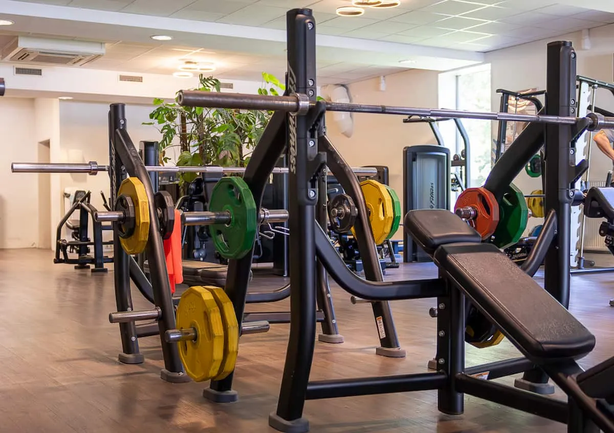 Pro Fit Gym Zwolle Dieze Incline Benchpress