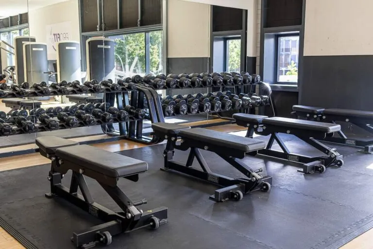 Pro Fit Gym Zwolle Stadshagen Dumbbells With Benches