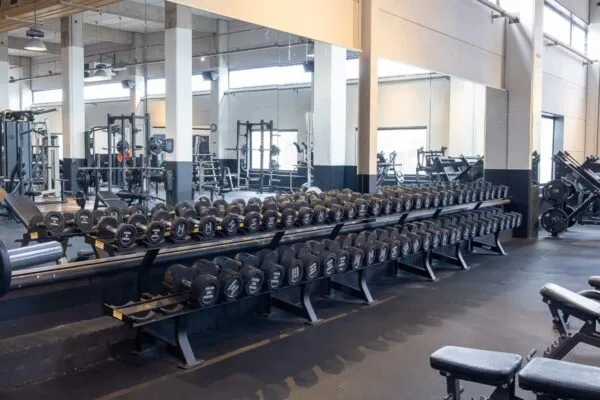 ProFit Gym Sportschool Wageningen Free Weights
