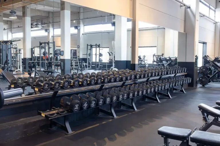 ProFit Gym Sportschool Wageningen Free Weights